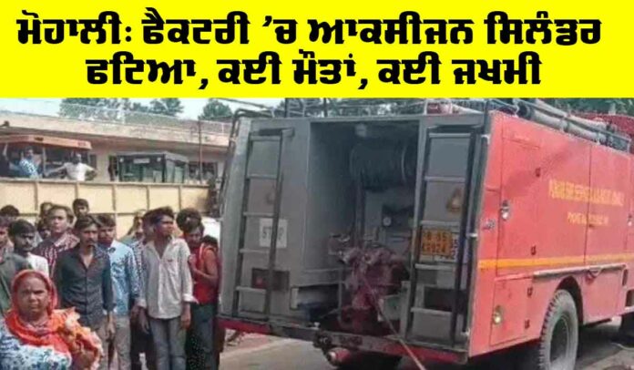 Mohali News