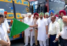 New Bus Service
