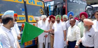 New Bus Service