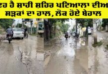 Patiala News