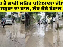 Patiala News