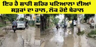 Patiala News
