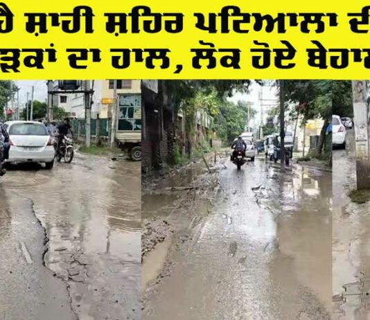 Patiala News