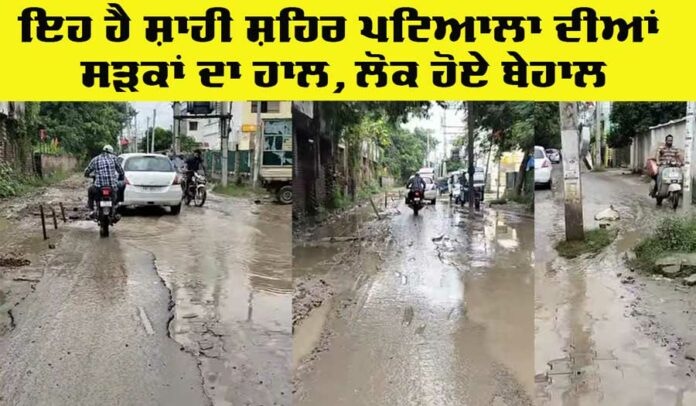 Patiala News
