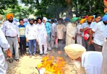 Pensioners Protest