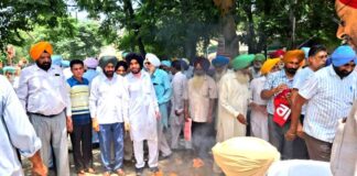 Pensioners Protest