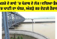 Pong Dam