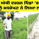 Punjab Agriculture News