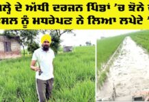 Punjab Agriculture News