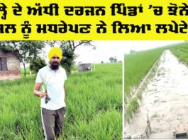 Punjab Agriculture News