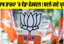 Punjab BJP Reshuffle