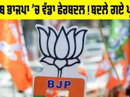 Punjab BJP Reshuffle