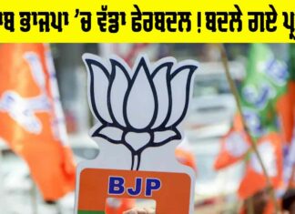 Punjab BJP Reshuffle