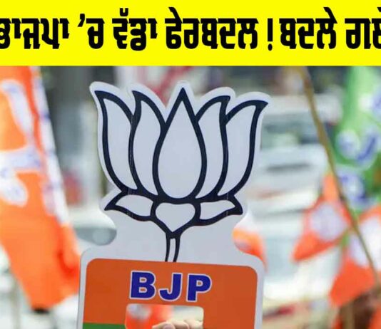 Punjab BJP Reshuffle