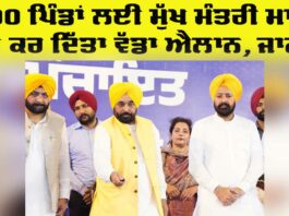 Punjab Government News