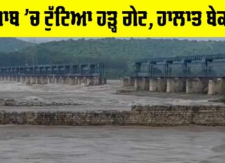 Punjab Flood News