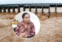 Punjab Flood News