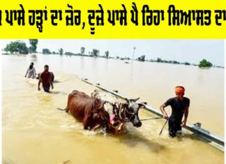 Punjab Floods