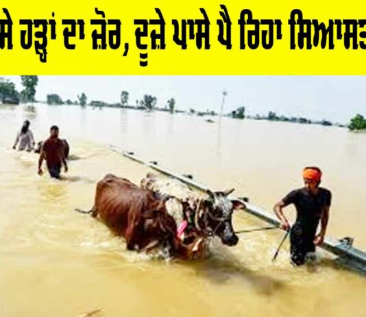 Punjab Floods