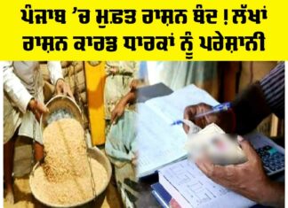 Punjab Free Ration News