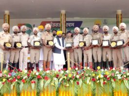 Punjab Government Awards