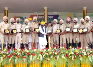 Punjab Government Awards