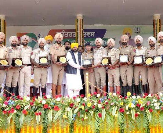 Punjab Government Awards