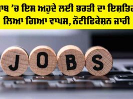 Punjab Government Job Update