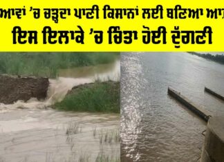 Beas River