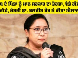 Punjab Government News