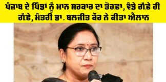 Punjab Government News