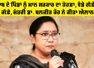 Punjab Government News