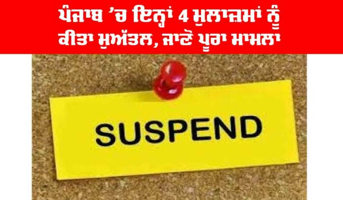 Punjab News