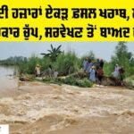 Punjab News