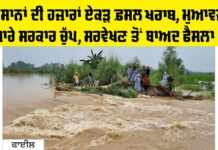 Punjab News