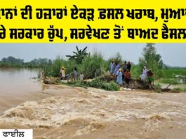 Punjab News