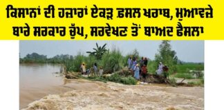 Punjab News