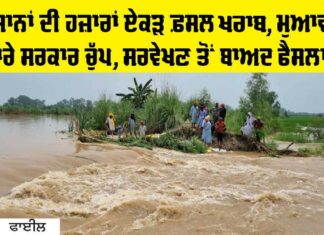 Punjab News