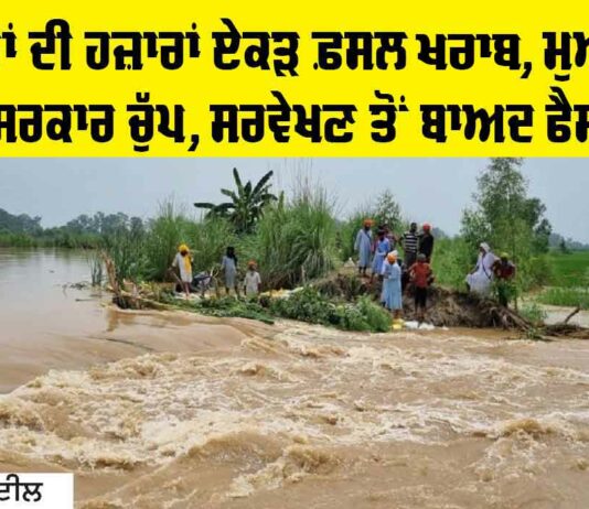 Punjab News