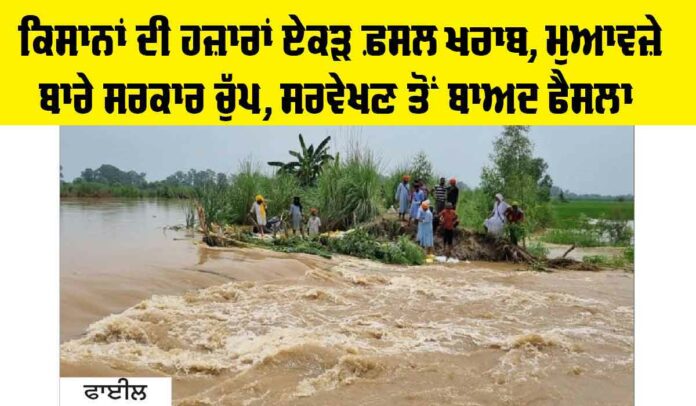 Punjab News