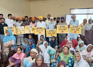 Punjab Ration Card