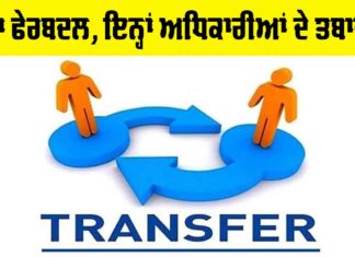 Punjab Tehsil Reshuffle