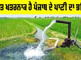Punjab Water Crisis