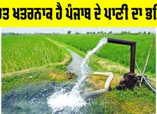 Punjab Water Crisis