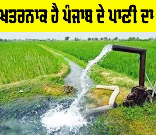 Punjab Water Crisis