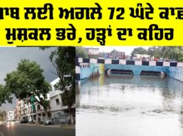 Punjab Weather