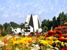 Punjabi University