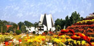 Punjabi University