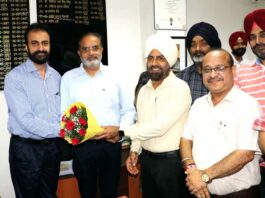 Punjabi University News