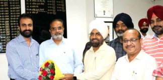 Punjabi University News